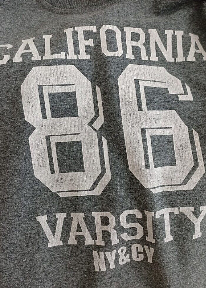 Gri Kazak  - Görsel 3