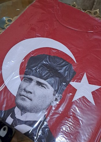 Atatürk Bayrak baskılı Çocuk Tişörtü - Görsel 2
