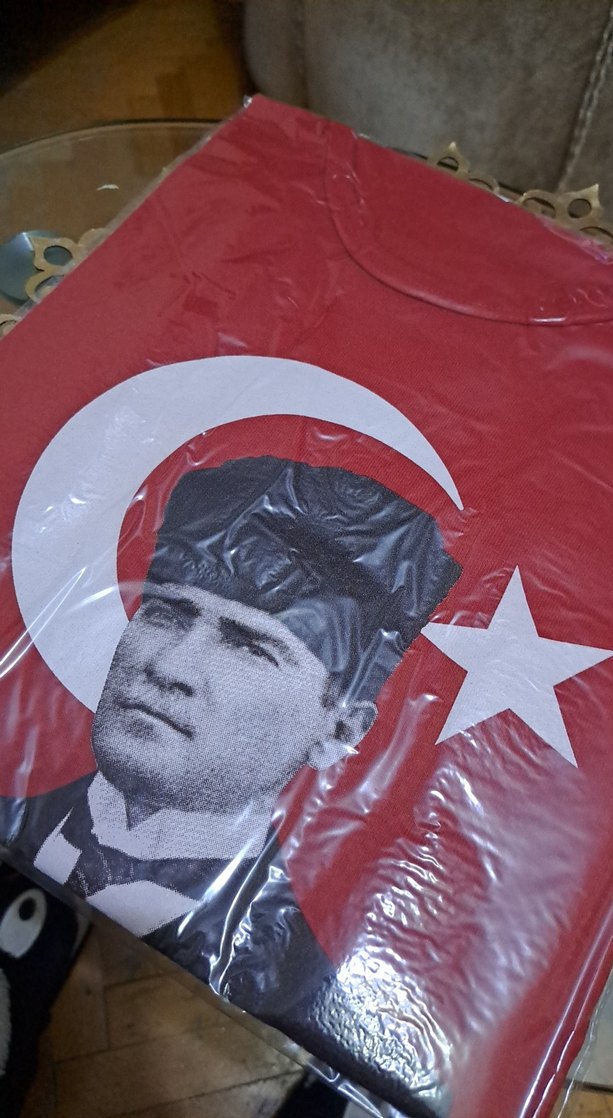 Atatürk Bayrak baskılı Çocuk Tişörtü - Görsel 2