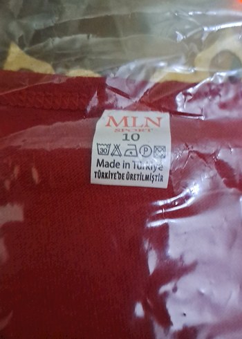 ATATÜRK BAYRAK BASKILI TİŞÖRT - Görsel 2