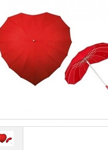 Kalpli Şemsiye