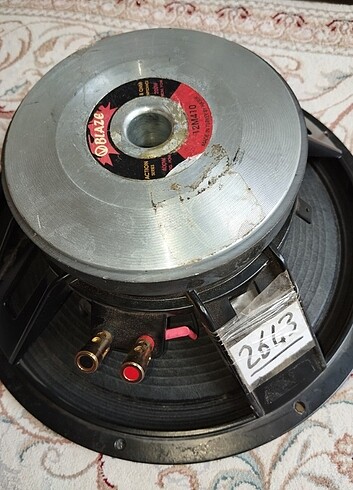 Blaze 30 cm profesyonel subwoofer bass 