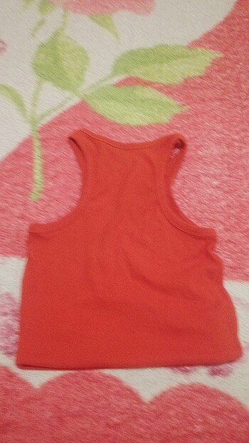Penti Crop atlet vs