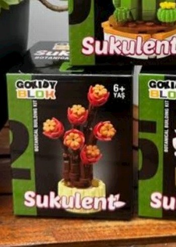 GOKIDY BLOK Sukulent Lego Seti