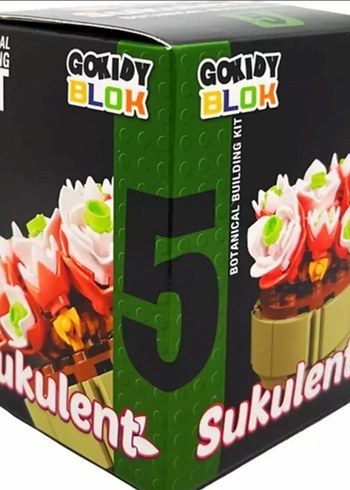GOKIDY BLOK Sukulent Bitki Seti