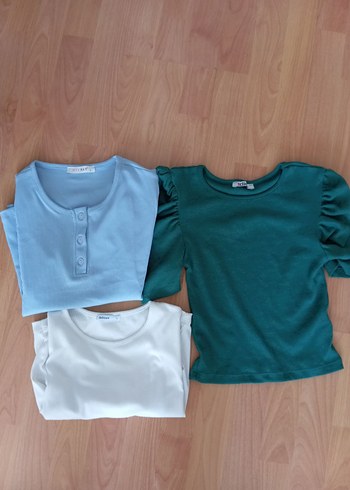 m Beden addax crop ve tişörtler