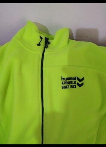 Hummel 40