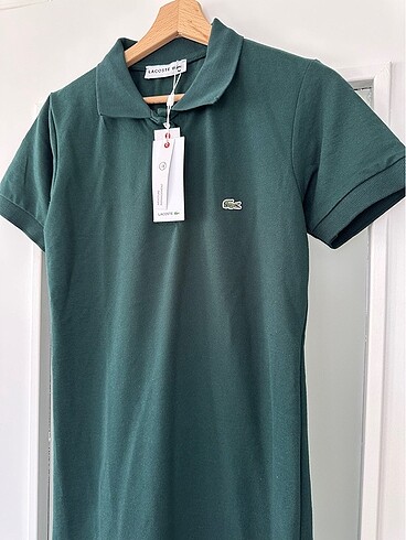 m Beden Lacoste Polo yaka elbise