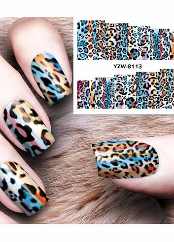 1 ADET SU TRANSFER - Görsel 3