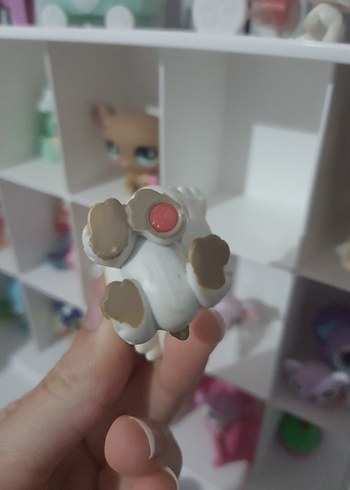  lps minisler