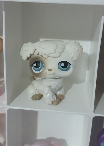 lps minisler