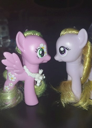 My Little Pony my little pony