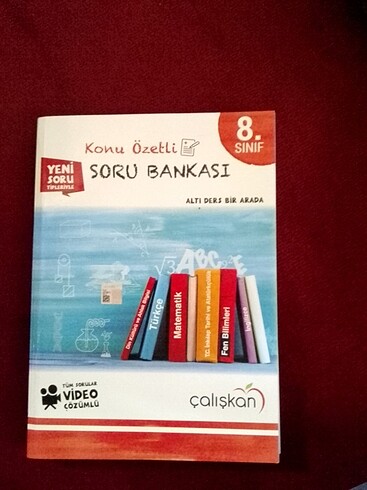Çalışkan yayınları 