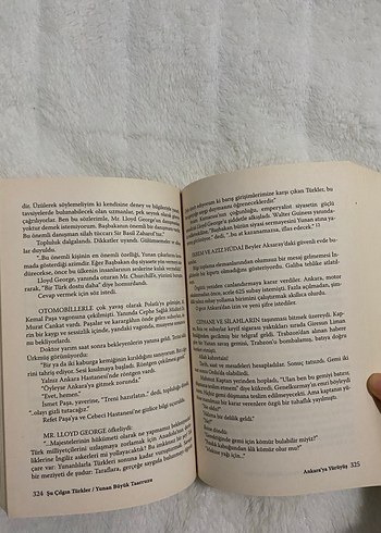 Şu Çılgın Türkler - Turgut Özakman Roman - Görsel 3