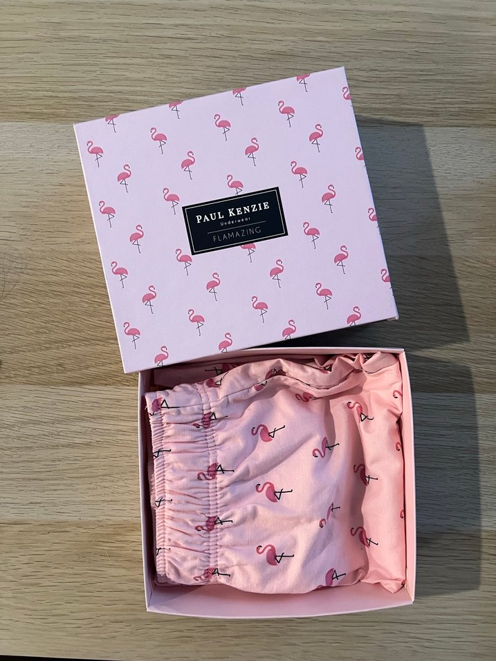 Paul Kenzie Pembe Flamingo Baskılı Ev Şortu (Erkek) - Görsel 3