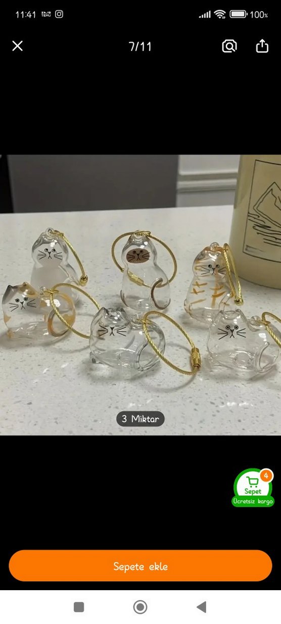 Parlak Altın Kedi Tüyü Saklama Kolyesi - Görsel 4