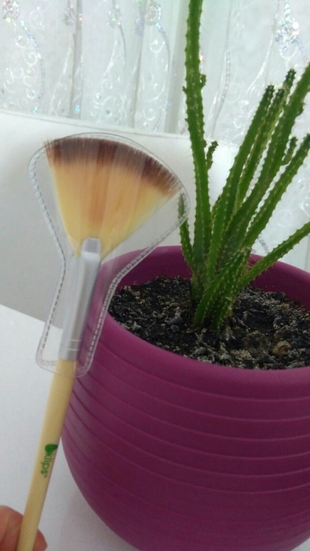 fan fırçası 