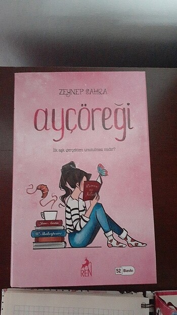  Ayçöreği serisi