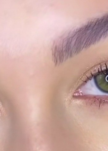 yıllık Parlak Yeşil - Görsel 2