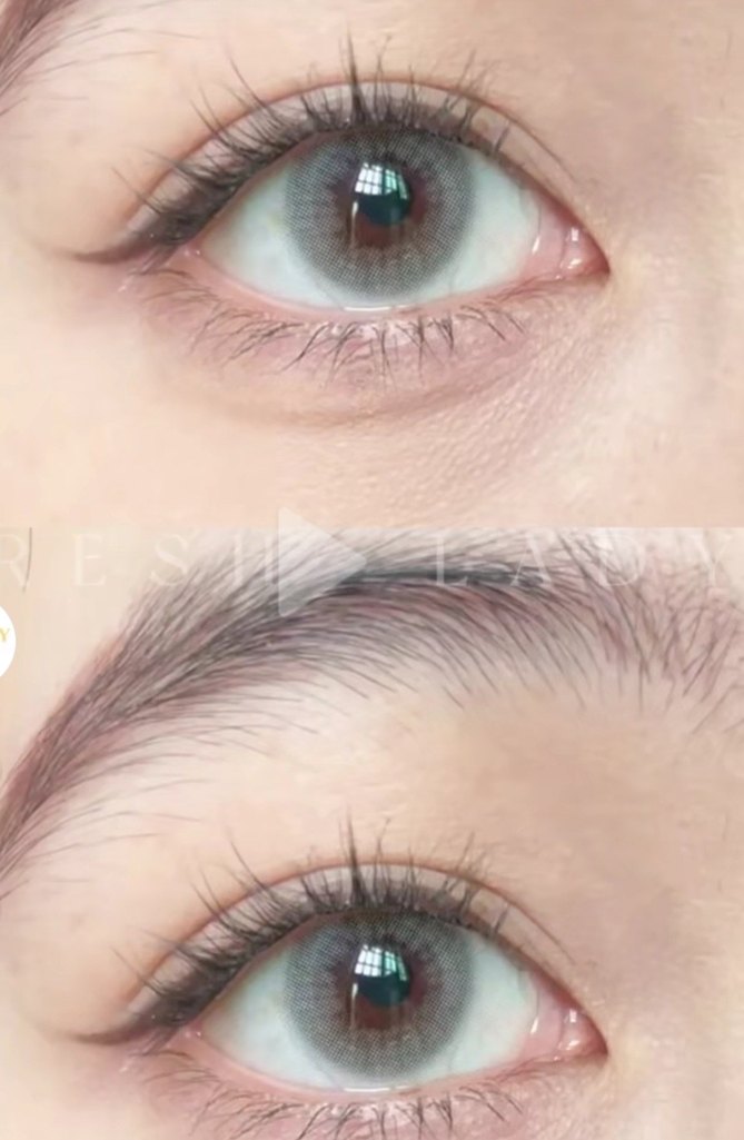 yıllık - Görsel 2