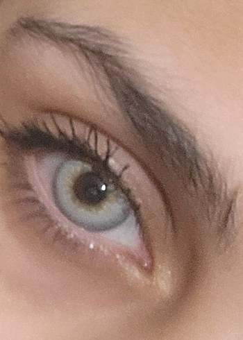 Gri Takma Kirpik - Görsel 3