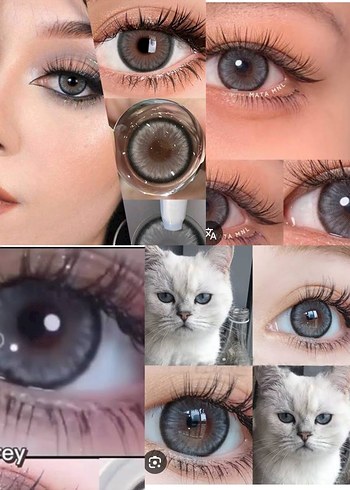 Gri Beyaz Kedi Aksesuarı - Görsel 2