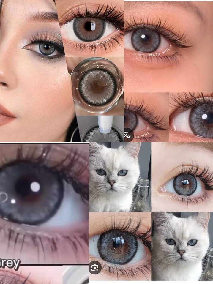 Gri Beyaz Kedi Aksesuarı - Görsel 2