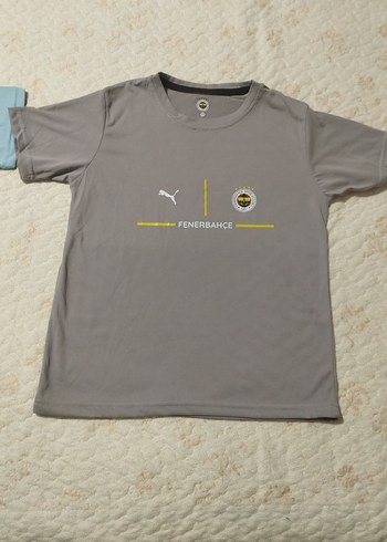 Diğer Erkek Gri Kısa Kollu Fenerbahçe Tişört
