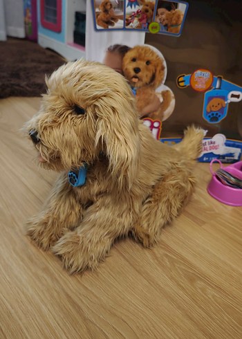 Pastel Kahverengi Peluş Oyuncak Köpek konusan köpek - Görsel 5