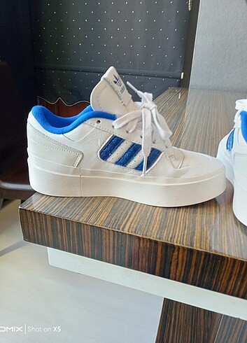 Adidas bold forum