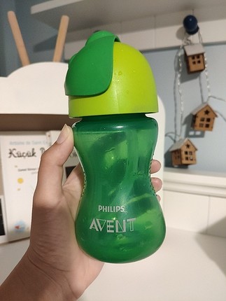 avent suluk