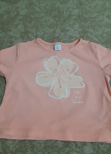 LC Waikiki 9-12 Ay