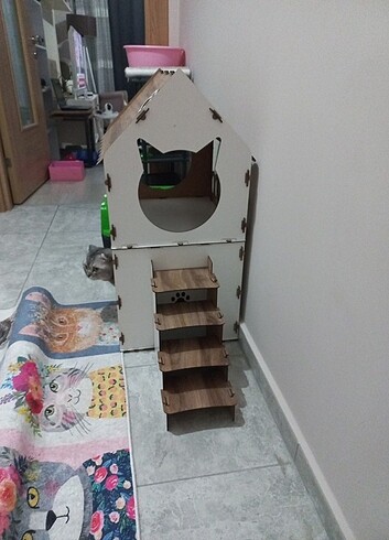 Kedi evi 