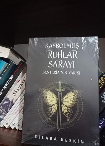 Kaybolmuş ruhlar sarayı 