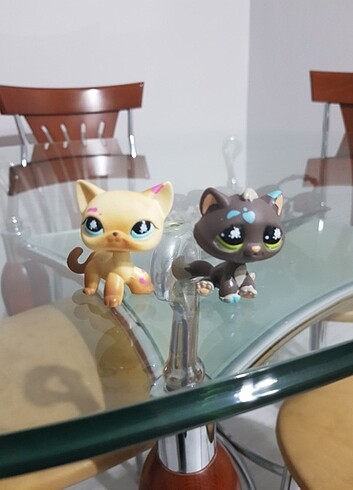  Beden Renk Littlest pet shop 