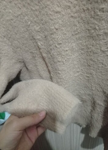 s Beden camel Renk Kazak