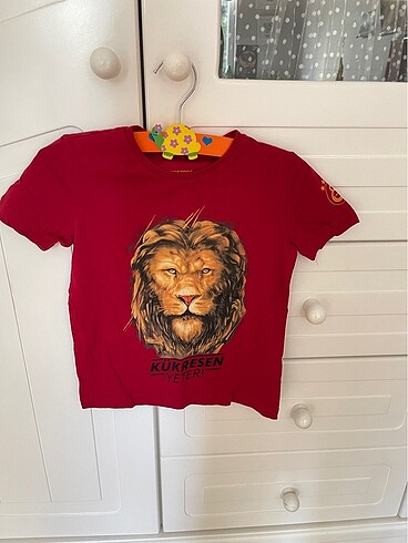 Galatasaray Store Orjinal Tişört