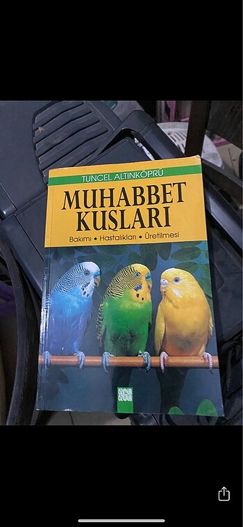 Kitap