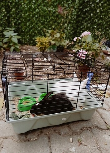Tavşan kafesi