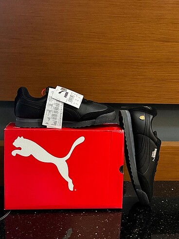 Diğer Puma roma