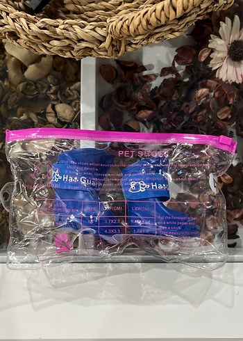 Kopek ayakkabisi - Görsel 6