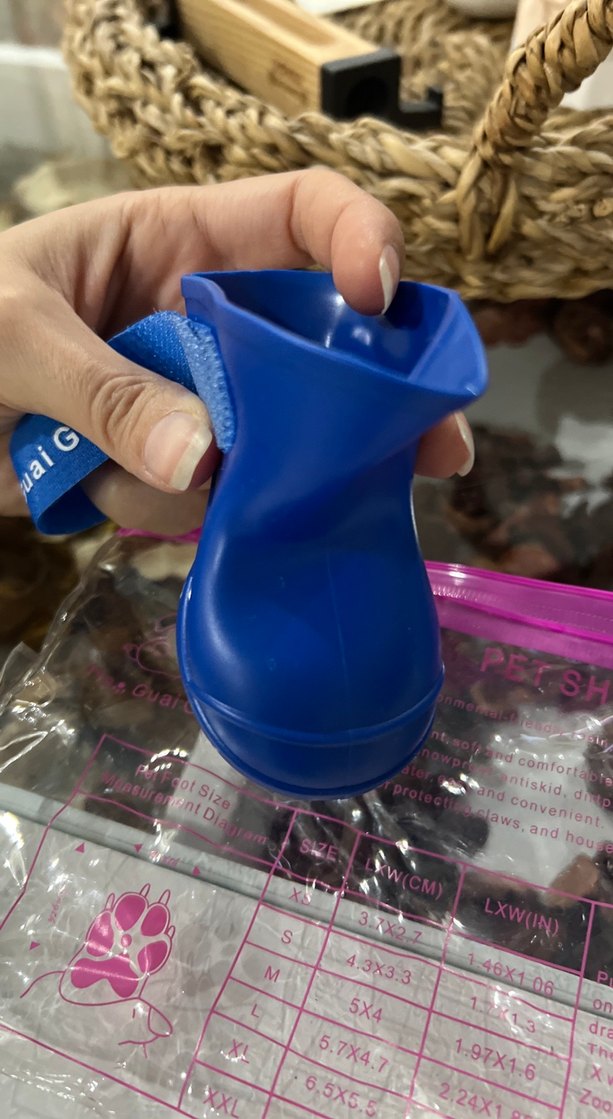 Kopek ayakkabisi - Görsel 2