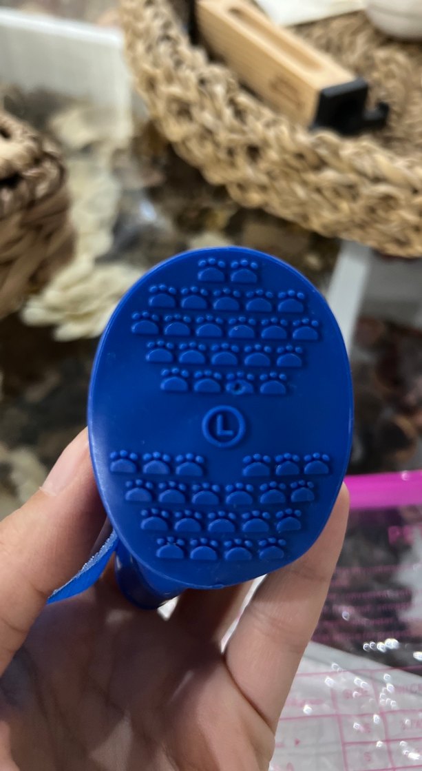 Kopek ayakkabisi - Görsel 4