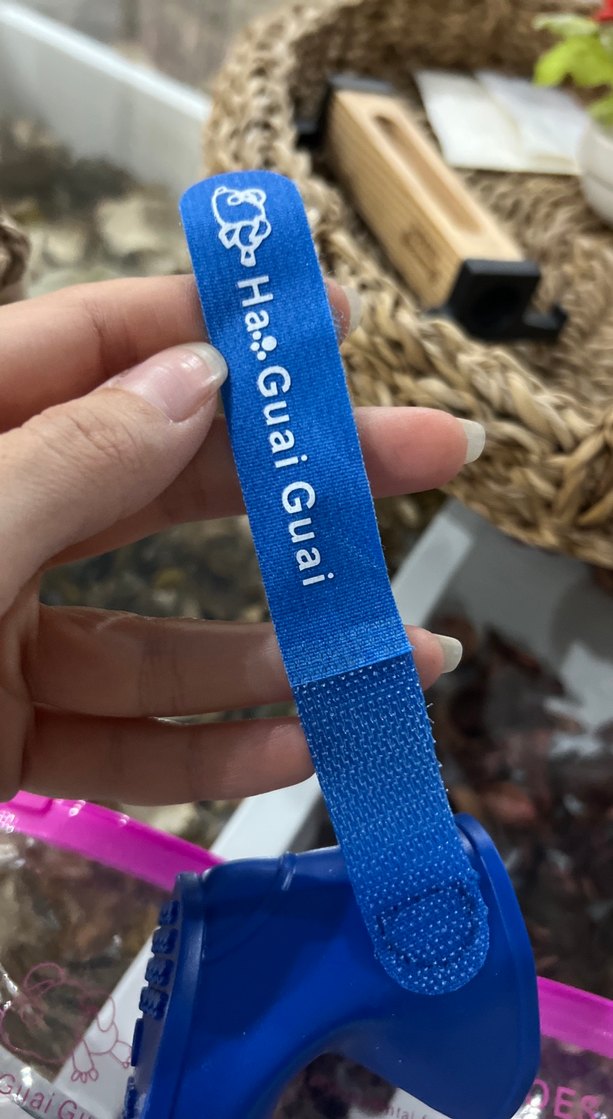 Kopek ayakkabisi - Görsel 3