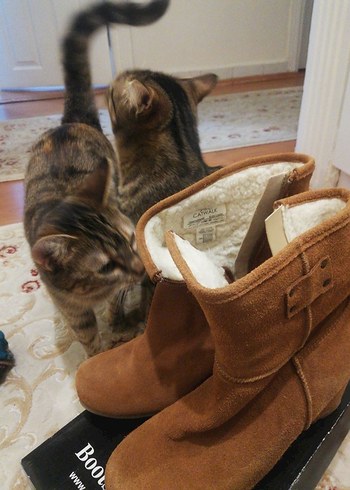 Kahverengi Süet Kürklü Dolgu Topuk Bot - Görsel 3