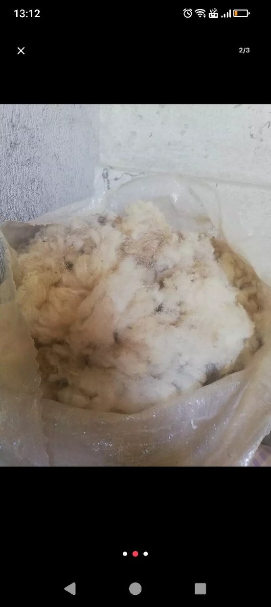 yıkanmamış yün - Görsel 2