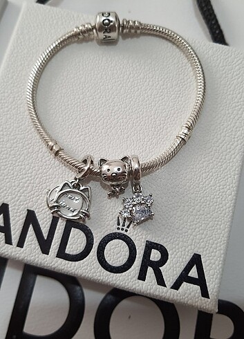 Pandora Pandora charm