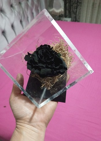 Kristal Küp İçinde Siyah Gül Dekoru - Görsel 3