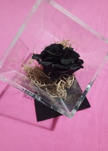 Kristal Küp İçinde Siyah Gül Dekoru - Görsel 4