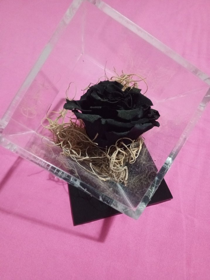 Kristal Küp İçinde Siyah Gül Dekoru - Görsel 4